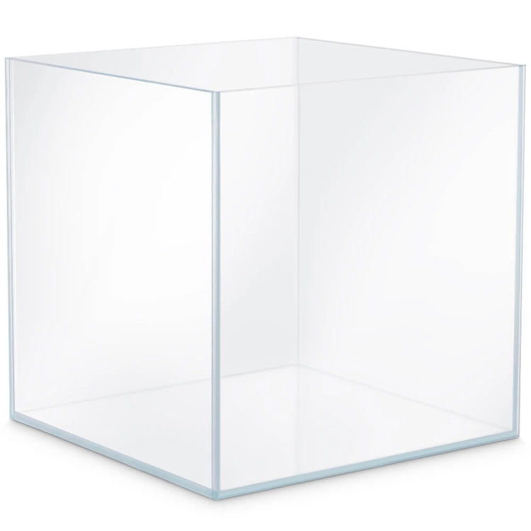 ZEST_PT_066