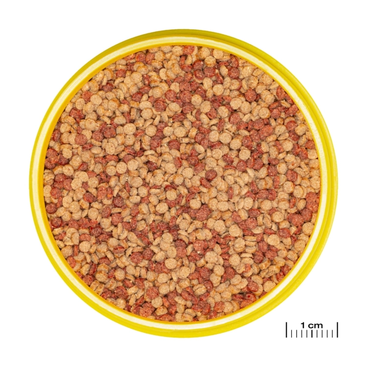 JBL Pronovo Color Grano M 250ml - 125g Pokarm wybarwiający dla ryb