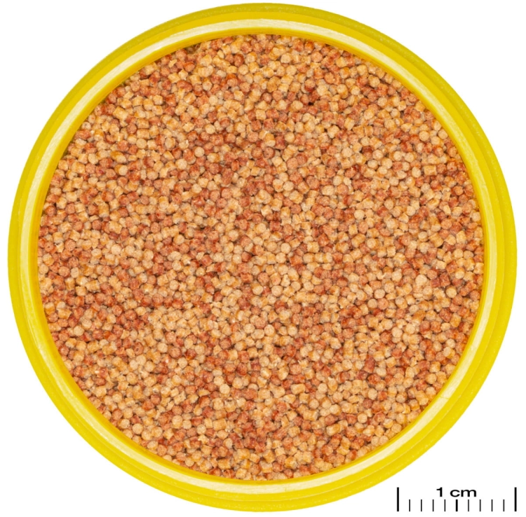 JBL Pronovo Color Grano S 100ml - 65g Pokarm wybarwiający dla ryb