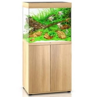 ZEST_JUWEL_024