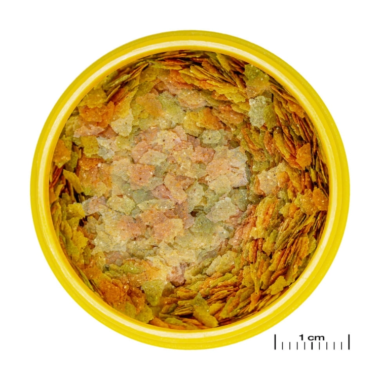 JBL Pronovo Betta Flakes S 100ml - 20g Pokarm dla bojowników