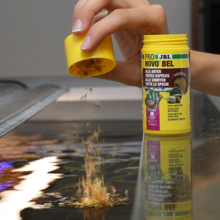 JBL Pronovo Bel Flakes M 100ml - 18g Pokarm dla ryb