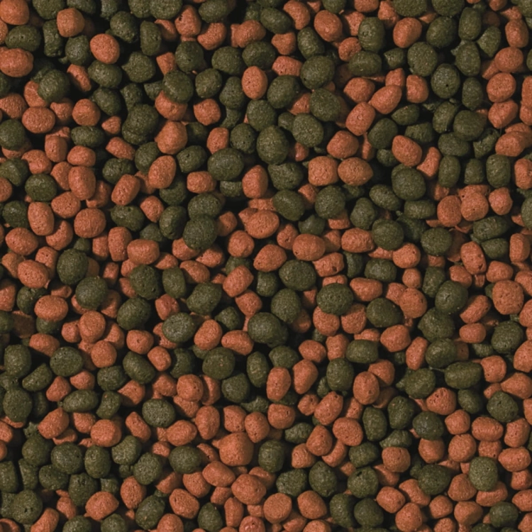 Tropical Cichlid Omnivore Medium Pellet 1000ml/360g Pokarm dla pielegnic
