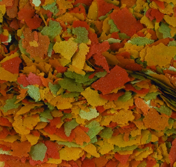 Tropical Goldfish Color 100ml Pokarm dla złotych ryb płatki