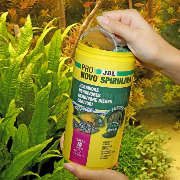 JBL Pronovo Spirulina Flakes M 1000ml - 160g Pokarm dla ryb refill