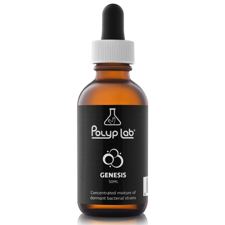 PL_GENESIS