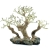 Progrow Bonsai Tree BT4M 30x16x20cm - Drzewko dekoracja do akwarium
