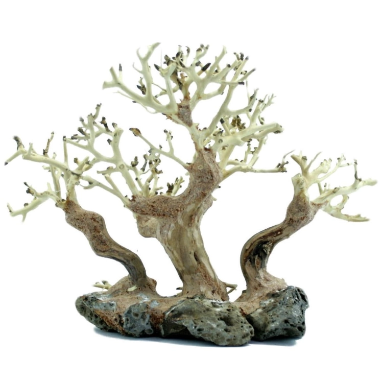 Progrow Bonsai Tree BT4M 30x16x20cm - Drzewko dekoracja do akwarium