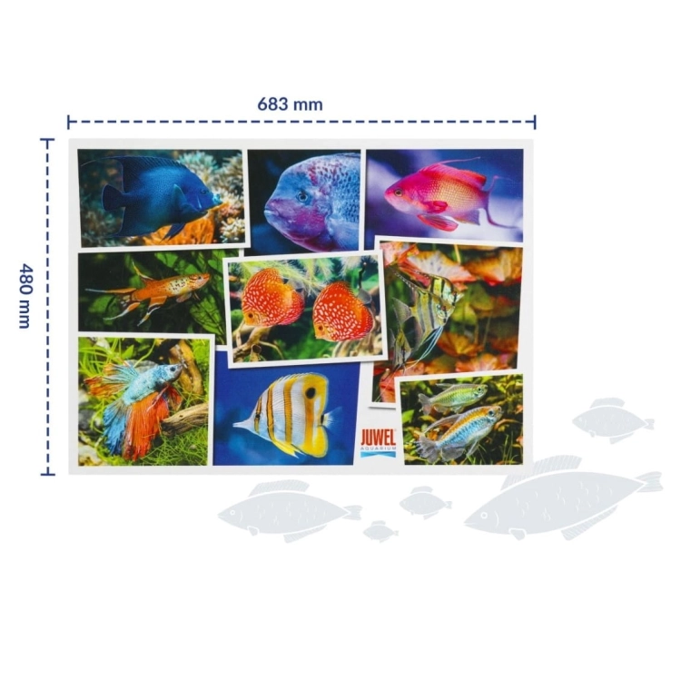 Juwel Puzzle 1000 elementów V1 48x68cm