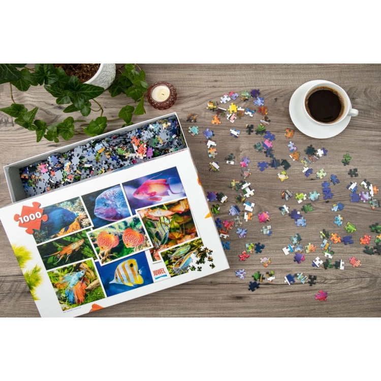 Juwel Puzzle 1000 elementów V1 48x68cm