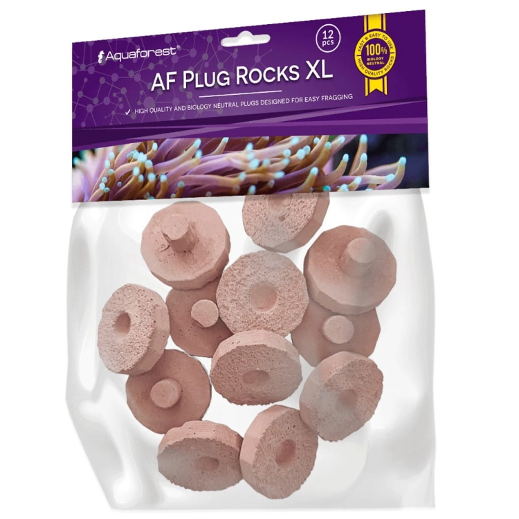 AF_PLUG_ROCKS_PURPLEXL