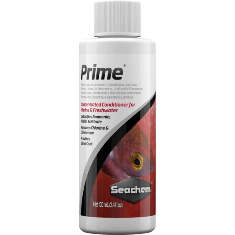 Zestaw Szopen's Shrimps Neocaridina Mitoja OptiWhite 43L
