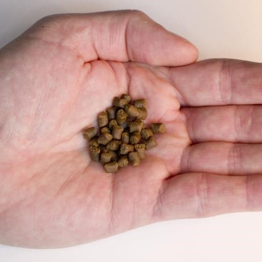 Vitalis Anemone Food Pellets 60g Pokarm dla ukwiałów