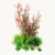 /z/o/zolux_plantkit_zest_3.jpg