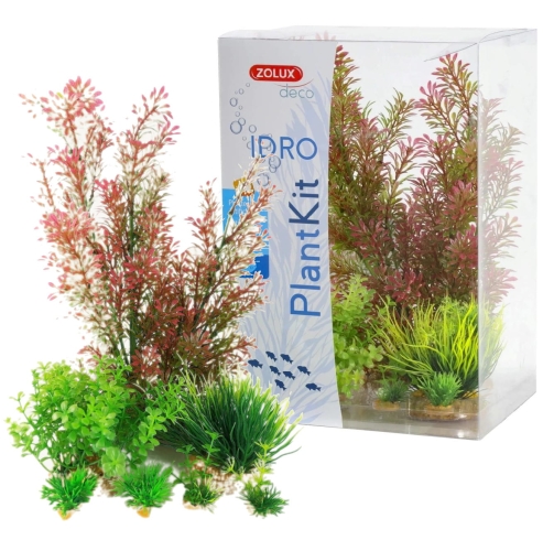 zolux_plantkit_zest_3_1.jpg