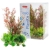 zolux_plantkit_zest_3_1.jpg