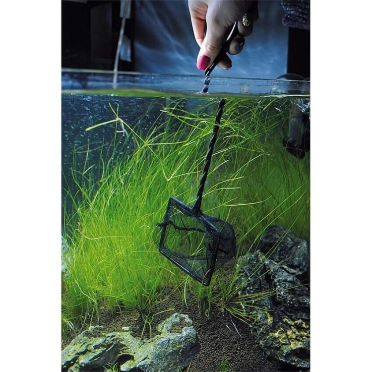 Aqua Nova N-03 Siatka 7,5cm dł.32cm - podbierak do ryb