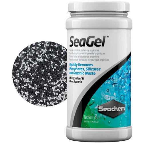 SEACHEM_0066