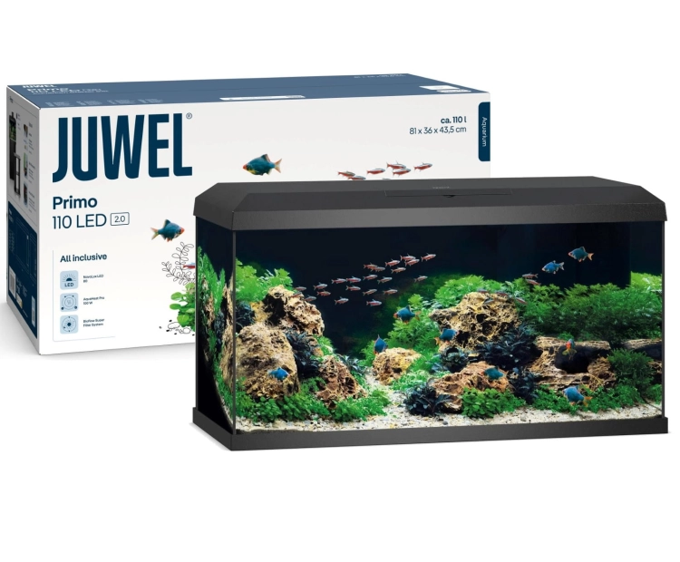 JUWEL_25380