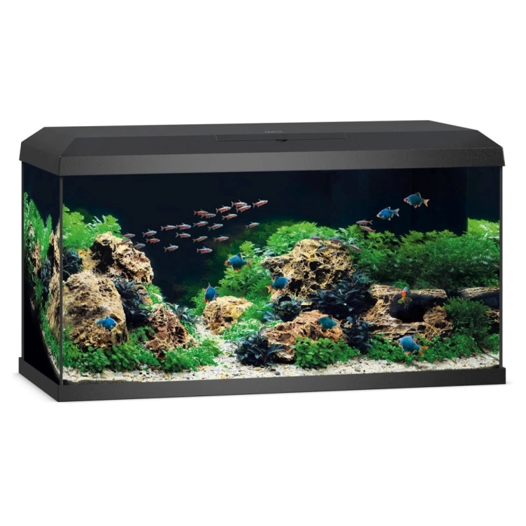 Juwel Primo 110 LED 2.0 Akwarium zestaw czarny