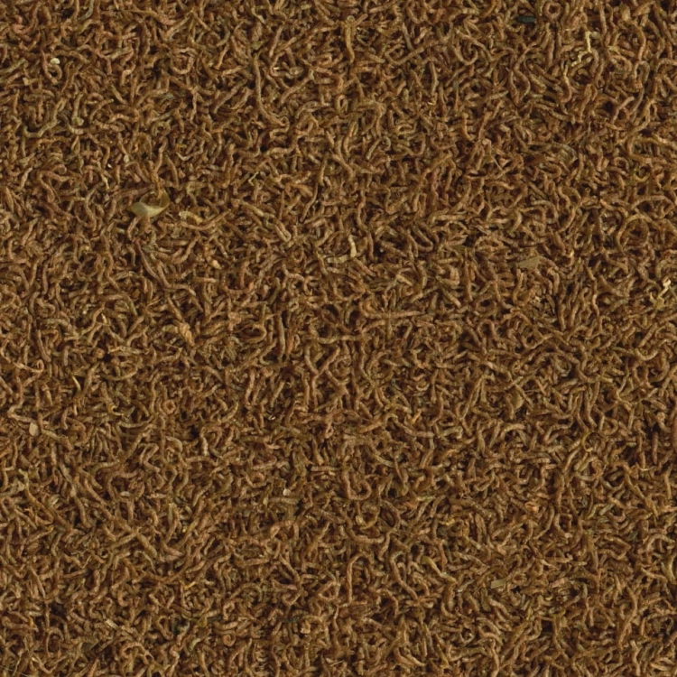 Tetra Delica Bloodworms 100ml - 8g Pokarm liofilizowany ochotka