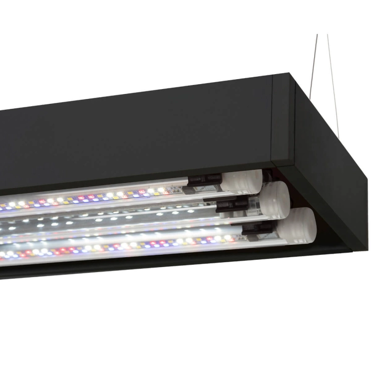 Aquael Ultrascape 60 Forest Akwarium zestaw LED D&N + gratisy