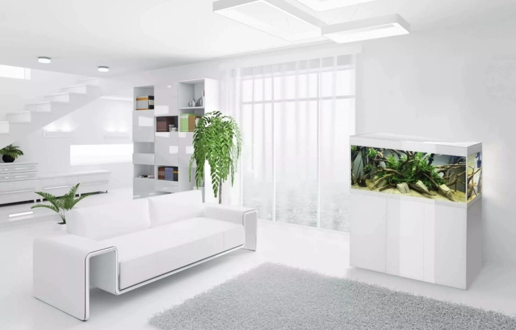 Aquael Glossy ST 120 D&N Zestaw akwarium biały LED + gratisy