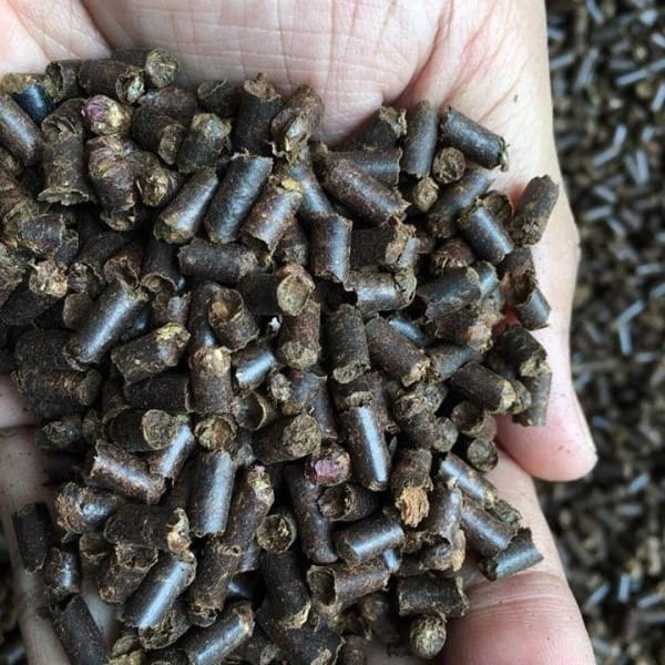 Tantora Catappa King Stick 100g  - Ketapang uzdatniacz wody