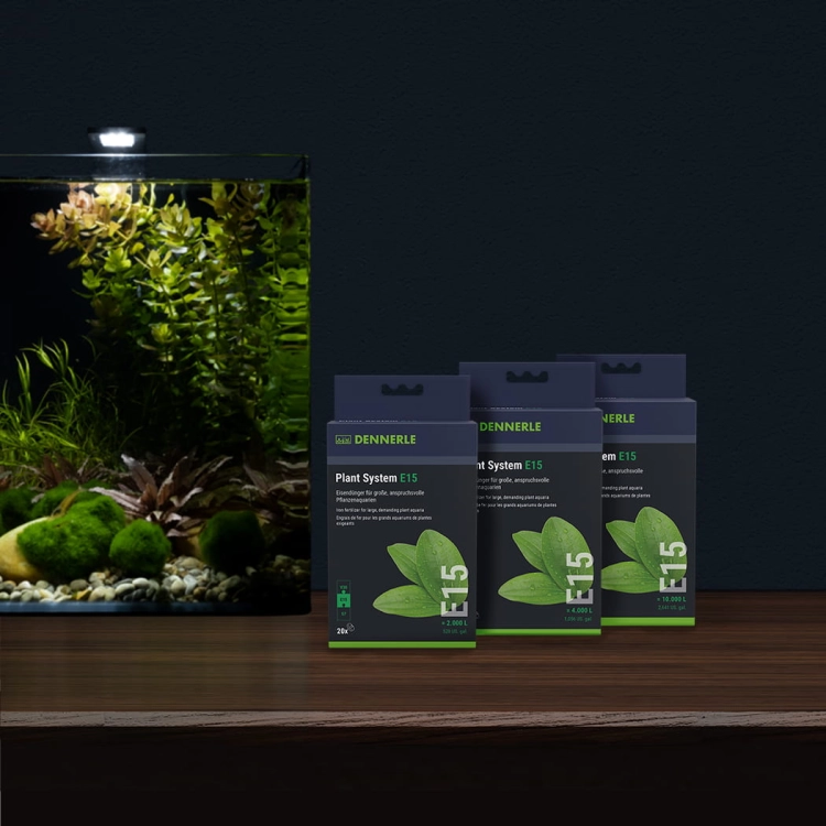 Dennerle Plant System E15 40 tabletek Nawóz żelazo dla roślin