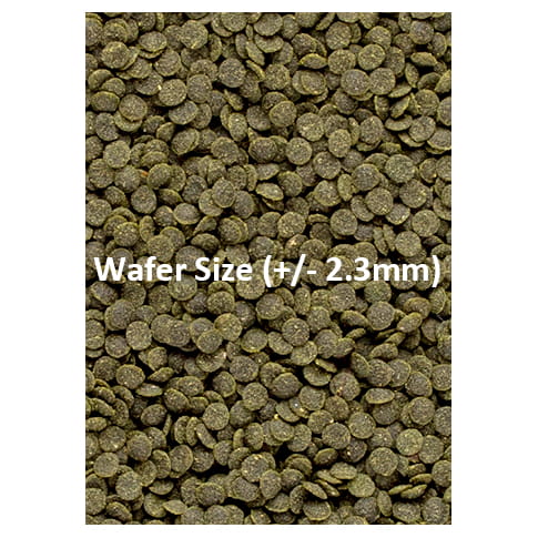 Ocean Nutrition Shrimp Wafers 15g Pokarm dla krewetek