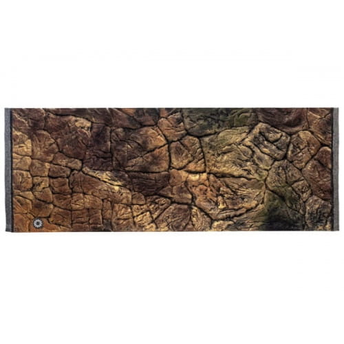 PL120x50