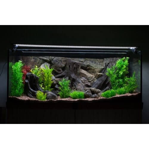 ATG Tło strukturalne 3D Korzeń 80x40 do akwarium