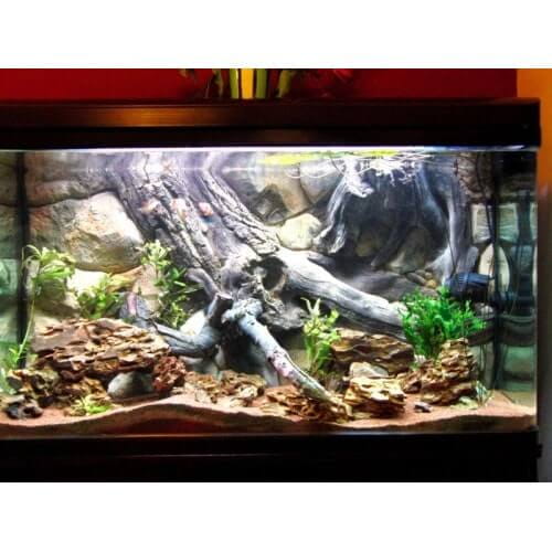 ATG Tło strukturalne 3D Amazonka 100x60 cm do akwarium