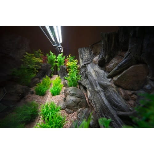ATG Tło strukturalne 3D Amazonka 100x60 cm do akwarium