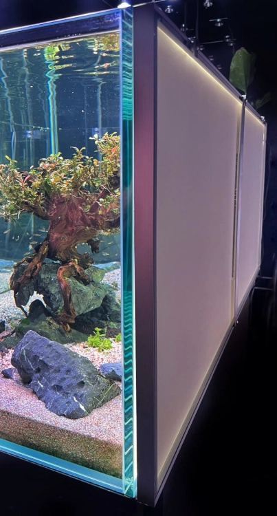 Diversa Backlight LED 50x35 - Tło podświetlane białe do akwarium