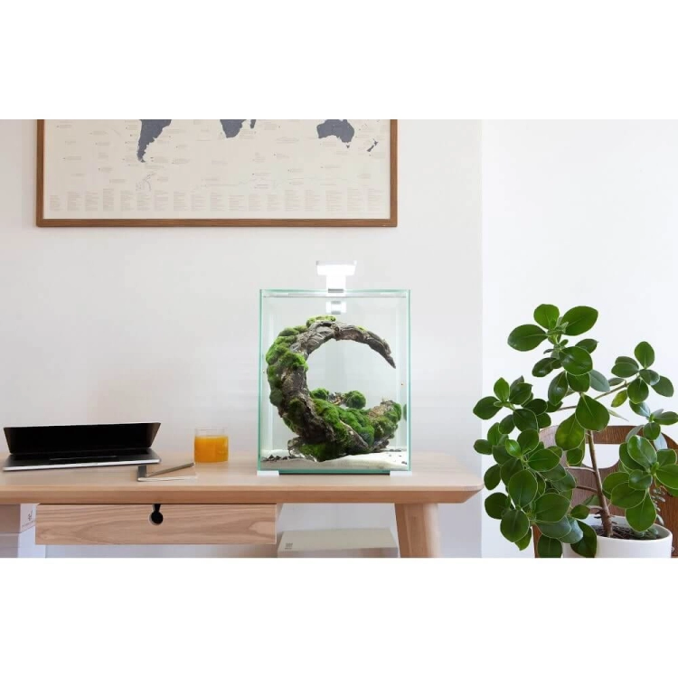 Aquael Shrimp Set Day&Night 30 czarny LED zestaw akwarium