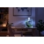 Aquael Shrimp Set Day&Night 30 czarny LED zestaw akwarium