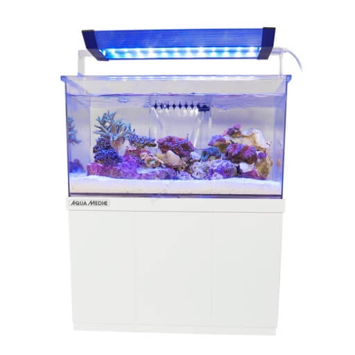 Aqua Medic Armatus XS Zestaw akwarium morskie 4L + szafka