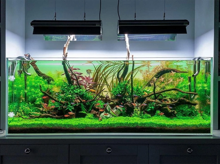 Lightground LED Tło podświetlane białe na wymiar