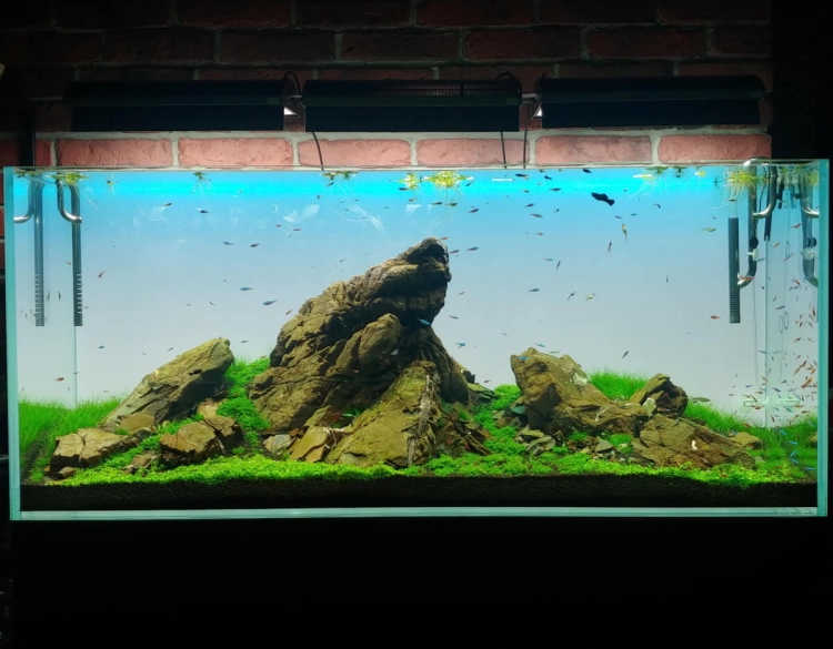 Lightground LED RGB  Tło podświetlane na wymiar