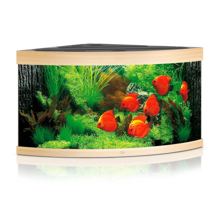 Juwel Trigon 350 LED jasne drewno (dąb) akwarium