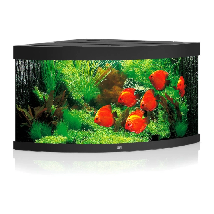 Juwel Trigon 350 LED czarne akwarium