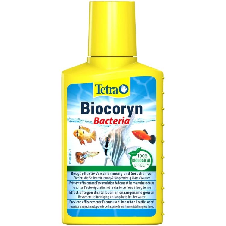 Tetra Biocoryn 100 ml bakterie i odmulacz w płynie