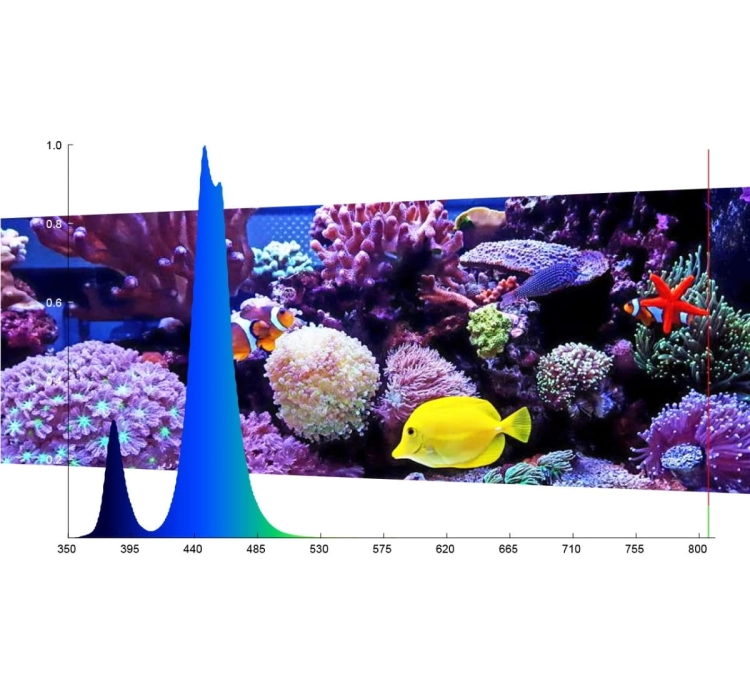 MicMol Felix Marine 600 Oświetlenie LED do akwarium morskiego + kontroler Bluetooth