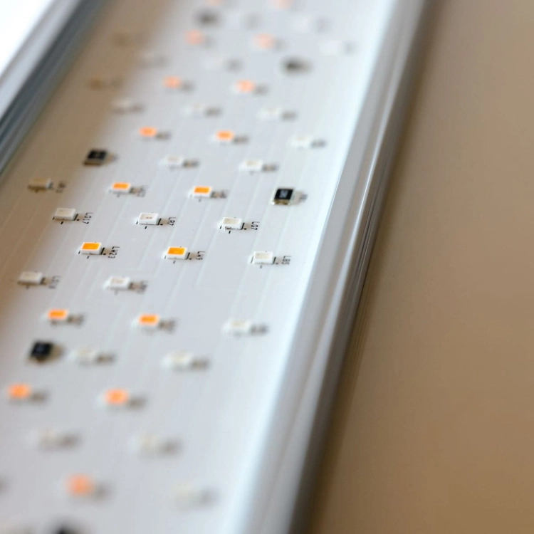 /8/_/8_8_1_1_1_3_1.jpg