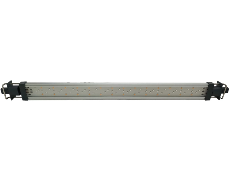 Twinstar Light G-LINE (1).jpg