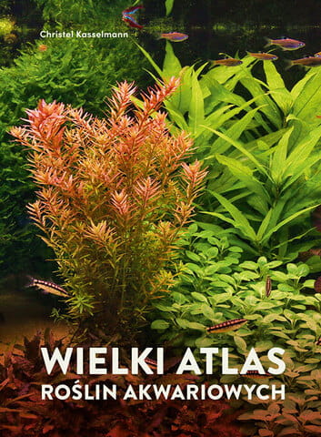 rosliny-akwariowe-okl500_480.jpg