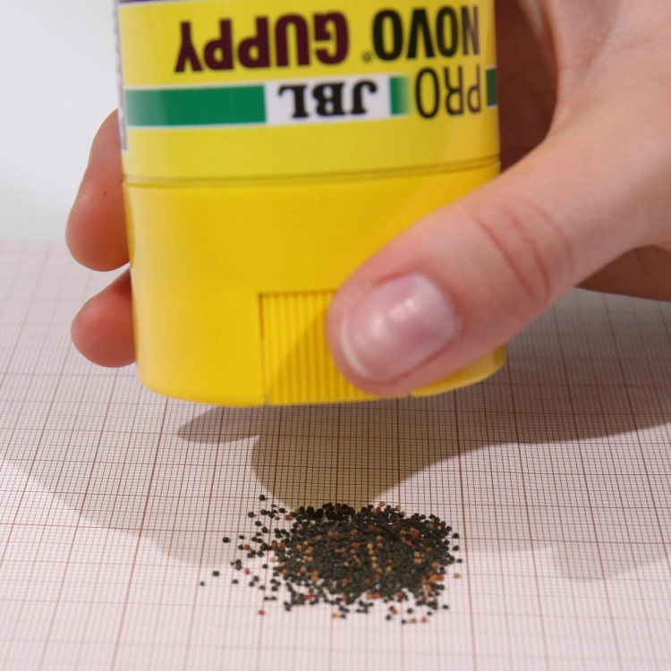 97760.jpg