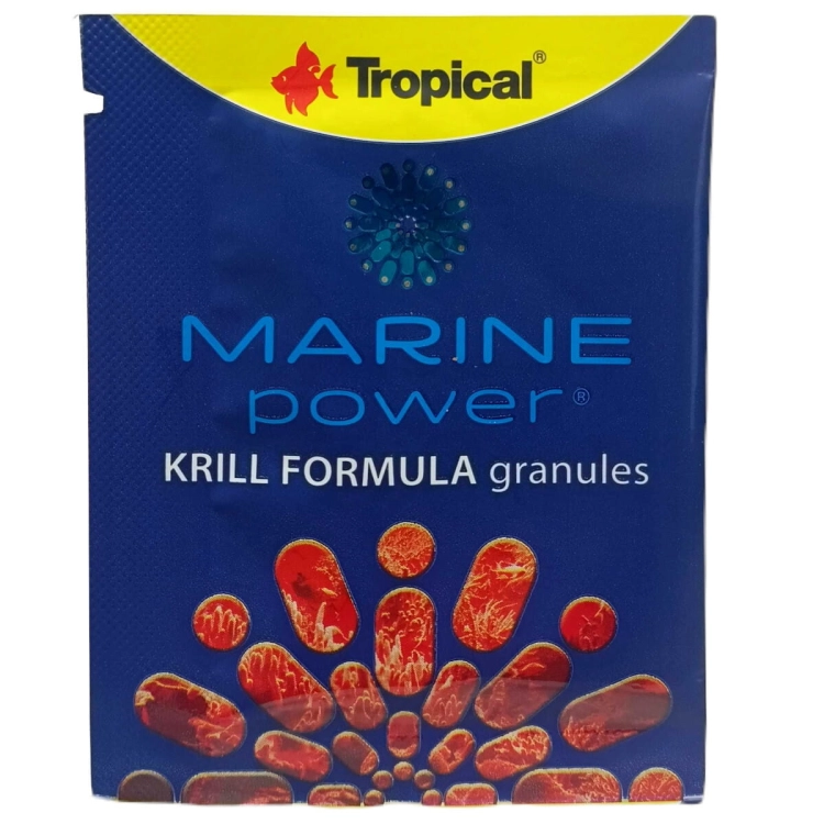 krill_3.jpg
