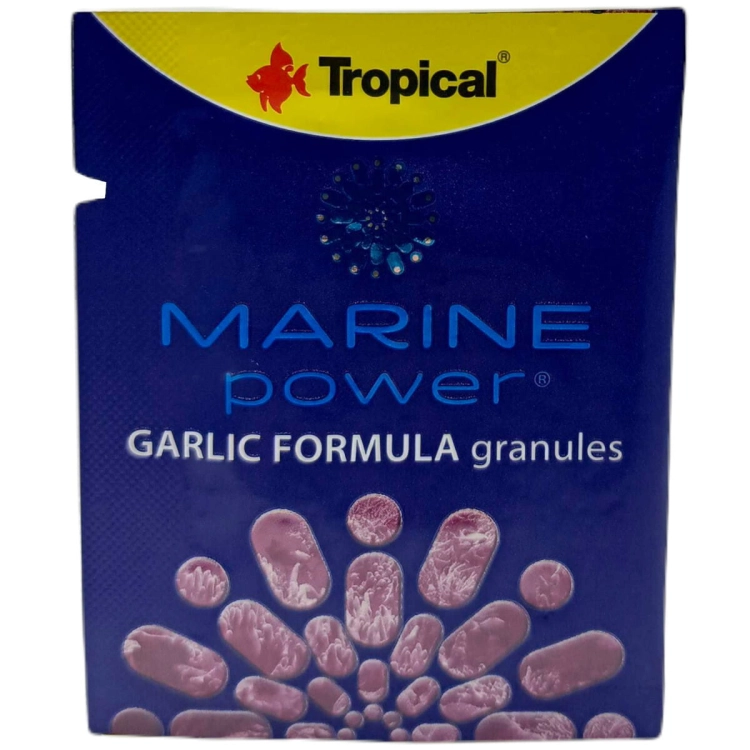 garlic.jpg